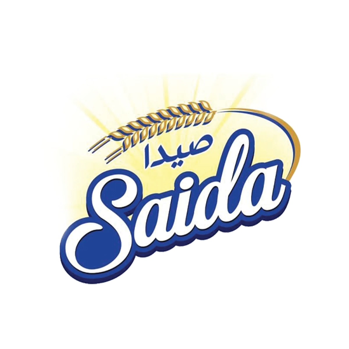 صيدا